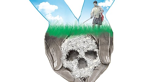 Some alternatives to DDT have been developed but experts believe they are yet to be tried and tested fully to completely replace the toxic chemical.