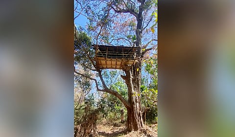 Watchtower of Chittar forest station