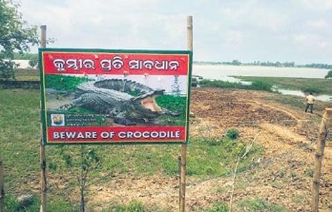 A signboard near Bhitarkanika warning villagers about presence of crocodiles