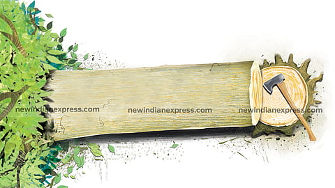 Image used for representational purpose.