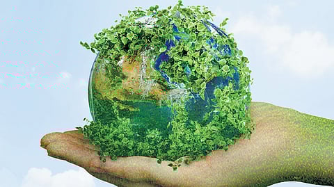 Image used for representational purpose.