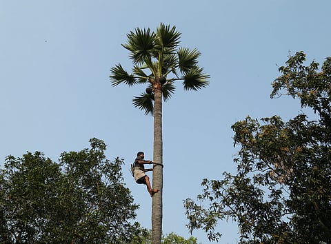 Image used for representational purposes only.