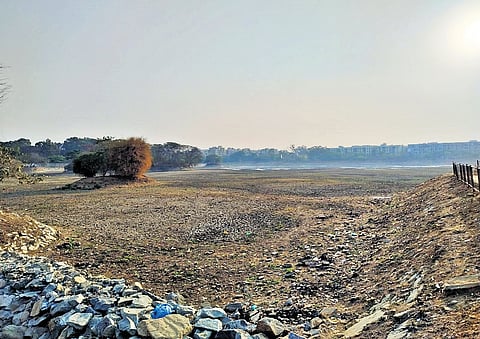 The 45-acre Vibhutipura Lake in KR Puram has completely dried up.