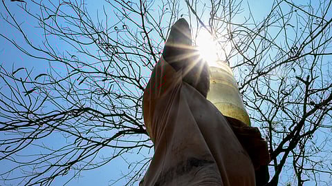 Image used for representation