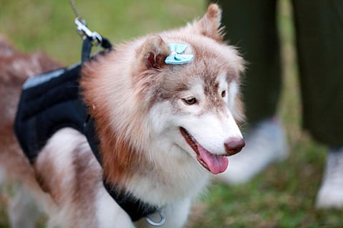 Image used for representational purposes (Photo | Express)