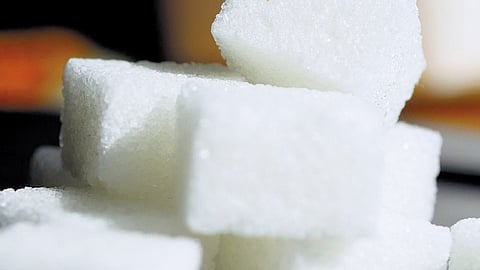 What’s your gut feeling?