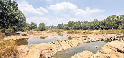 Dried up river basin of Cauvery at Kushalnagar.