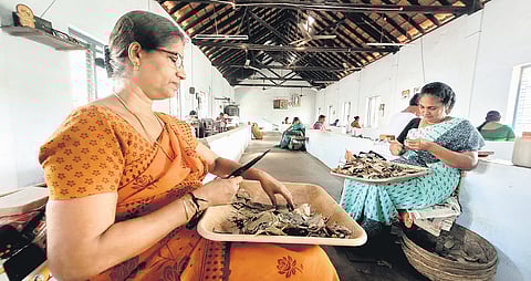 Workers at a Dinesh Beedi unit in Thavakkara, Kannur