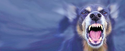 Image used for representation.