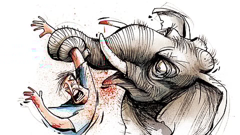 AI-based camera towers to help Odisha curb man-animal conflict