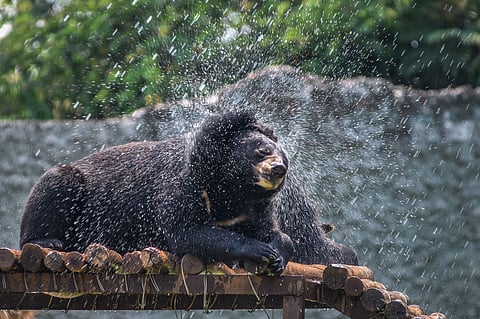 Representative Image.