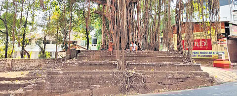 Scrap dealers Jayaram (left) and Balakrishnan in a conversation under a huge banyan tree in front of the Trichambaram temple in Taliparamba.