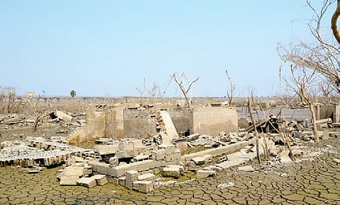 Due to a prevalent heatwave condition, the water is evaporating, leaving nothing for drinking.