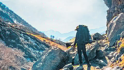 Representative image