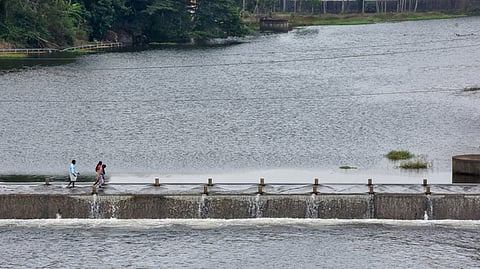 The 53 system irrigation tanks of Thamirabarani are 95% full, while 180 non-system irrigation tanks are at the half way mark.