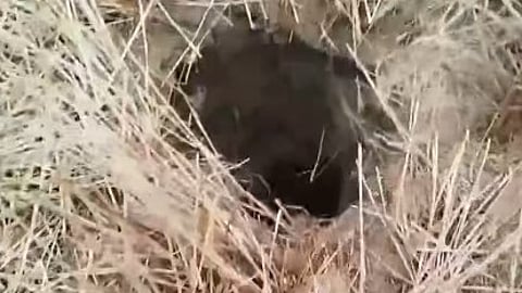 The child fell into the open borewell at Manika village, located close to the Uttar Pradesh border, at around 3 pm on Friday when was playing near it.