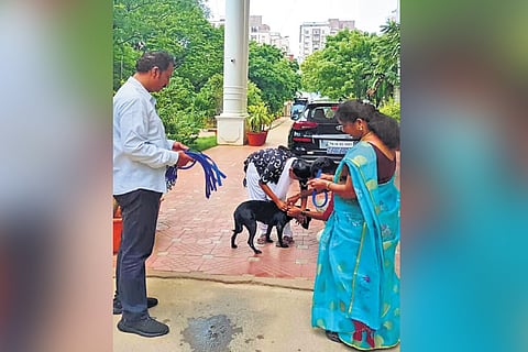 File picture of activists helping out a dog at commissionerate in Vepery