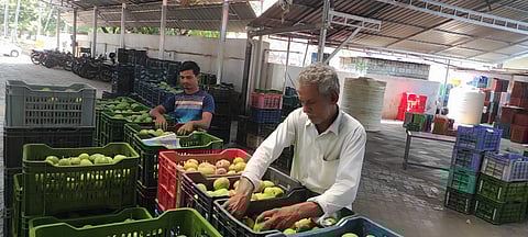 Image used for representation.