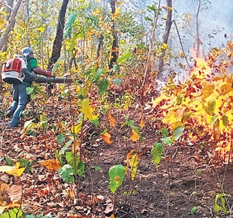 File photo of fire in core area of STR