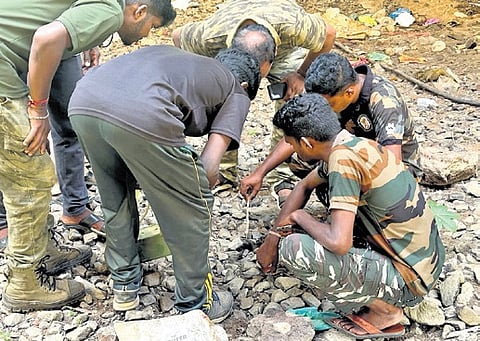 Foresters collecting scat of leopard near Cauvery River on Sunday