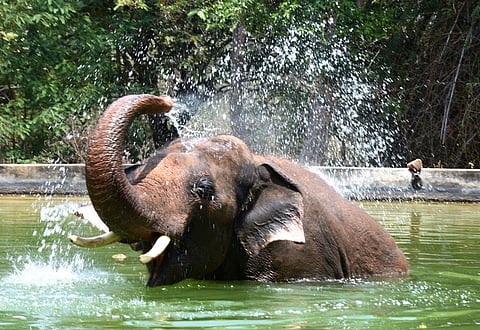 Image used for representational purpose only