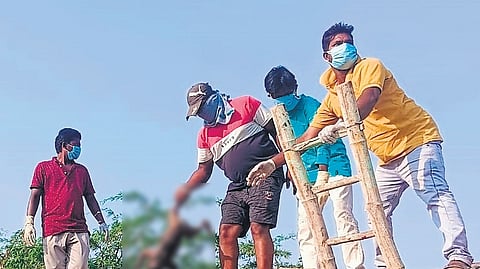 Workers remove the carcass of a monkey from the water tank