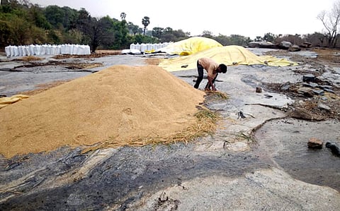 Image of unseasonal rains destroying crops used for representative purpose.