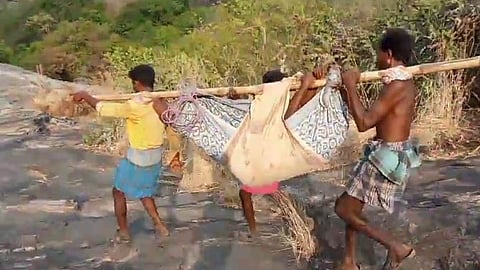 The tribal family walked through the forest area for more than several hours to reach the foothills and arranged a vehicle.