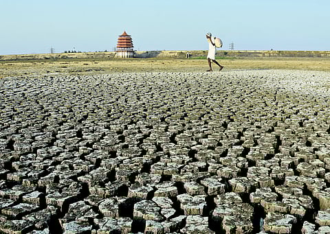Though coastal areas experienced rain and floods during NE monsoon, other areas got inadequate rainfall