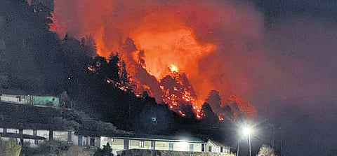 A view of the forest fire in Uttarakhand.