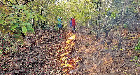 Fire at Wazeedu-Venkatapuram forest in Mulugu district on Sunday