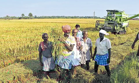 Farmers in the land proposed for Parandur airport. They are happy growing their crops here and don't want to see any planes taking off from here.