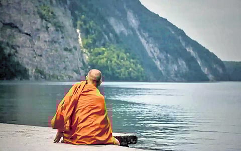 Book review | Lorenzo Searches for the
Meaning of Life: An Italian job