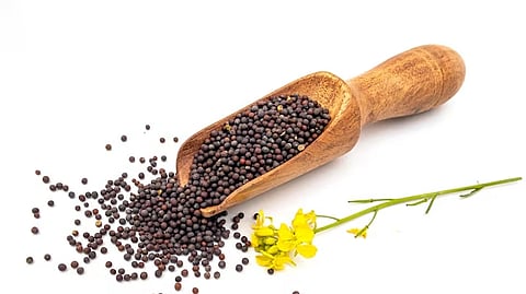 Telangana Agriculture & Farmers Welfare Commission chairman M Kodanda Reddy on Wednesday noted that the government is working on bringing a legislation to curb spurious seed menace.