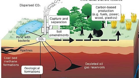 A schematic showing both terrestrial and geological sequestration of carbon dioxide emissions from a biomass or fossil fuel power station