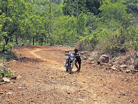 A villager struggled to traverse along the rugged path from Arla to Jajulabanda in Alluri Sitarama Raju district | G Satyanarayana