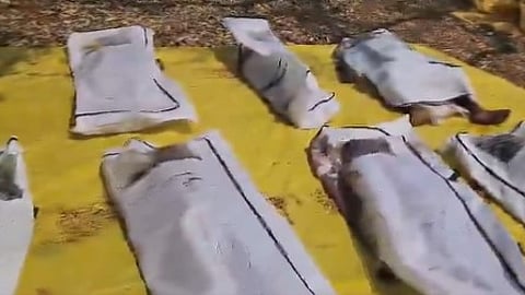 13 bodies of Naxalites were recovered following the encounter in Chhattisgarh's Bijapur.