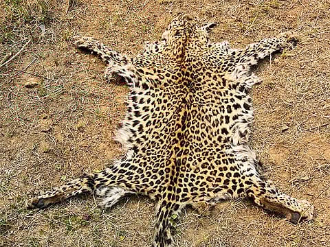 Image used for representational purposes only