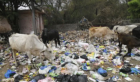 Image used for representational purposes