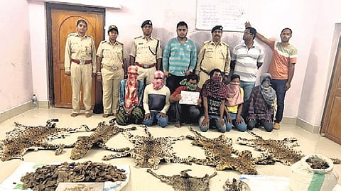 The accused with the seized wildlife items | Express
