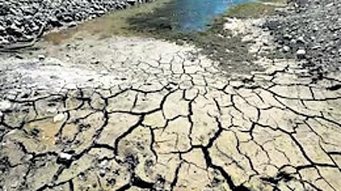 Marathwada, Pune face Maha water crisis as reservoir levels plummet