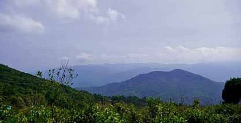 Ponmudi hills