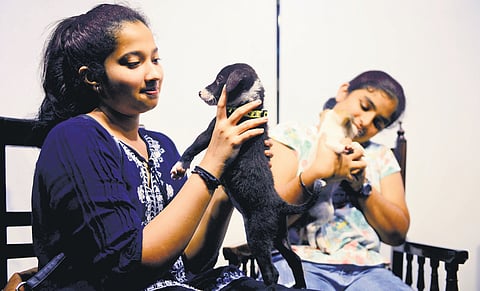 Leave! For the love of pets