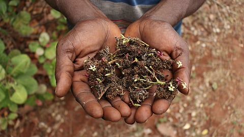 Ensure water reaches tail end of irrigation canals: Kanniyakumari farmers