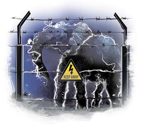 Experts moot innovative solutions to check adverse impact of linear intrusion in elephant range states