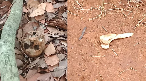 The skull was found in the cashew forest in U Mangalam; (right) the bone lying nearby.