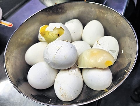 Rotten eggs found at Hotel Shreya in Hanamkonda on Thursday