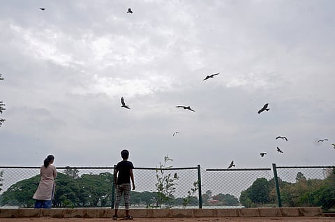 KSNDMC issues warning for thunderstorms, fast winds; IMD predicts clear skies. Representative image.