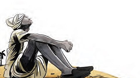 According to the data, in Rabi season, the farmers cultivated in around 1.23 lakh hectares of total 1.72lakh hectares.