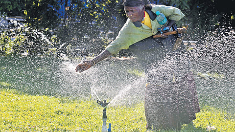 It’s a ‘torcher’!